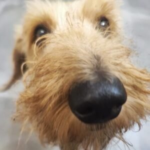 Foto de perfil de DPC